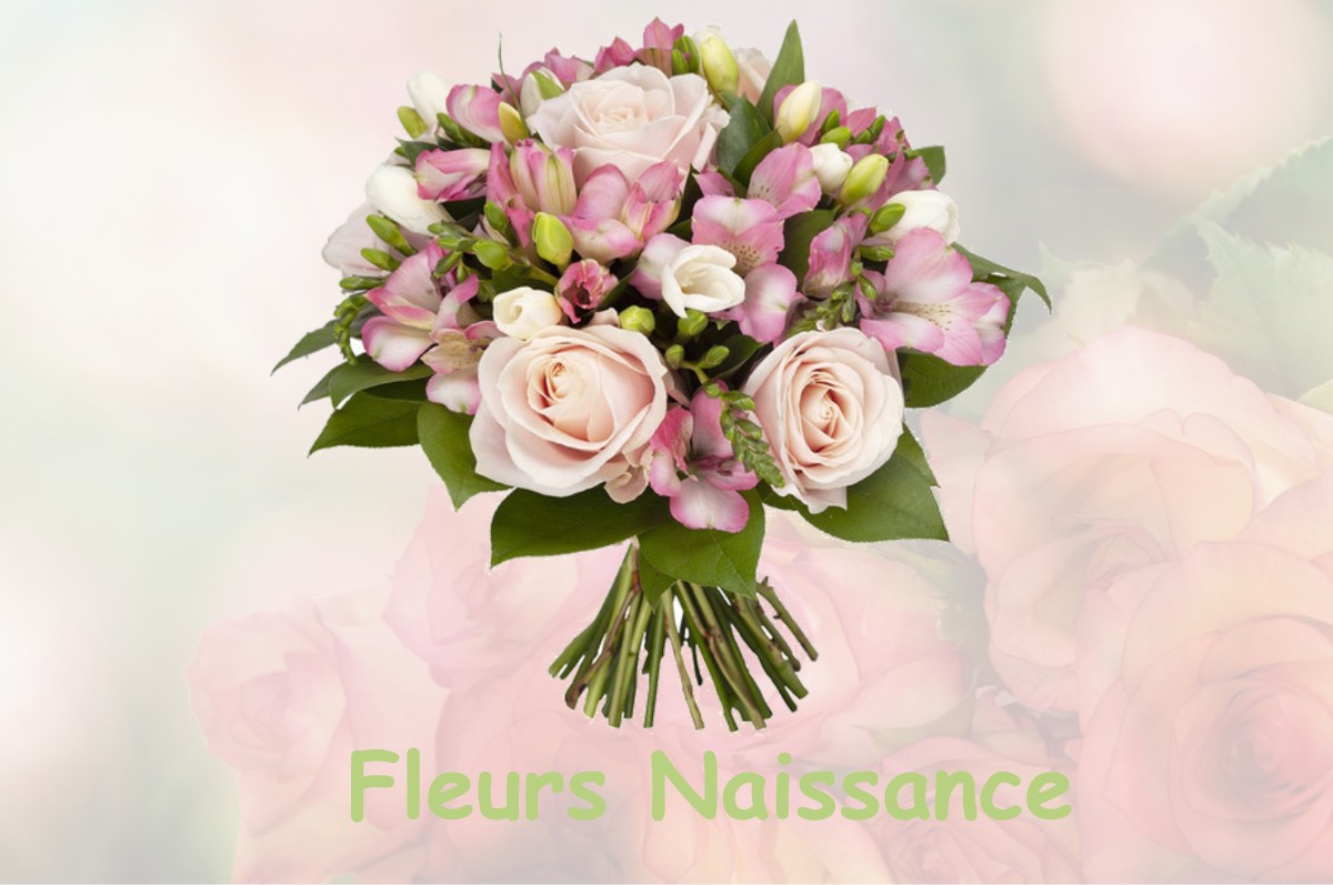 fleurs naissance NOYELLES-SOUS-BELLONNE